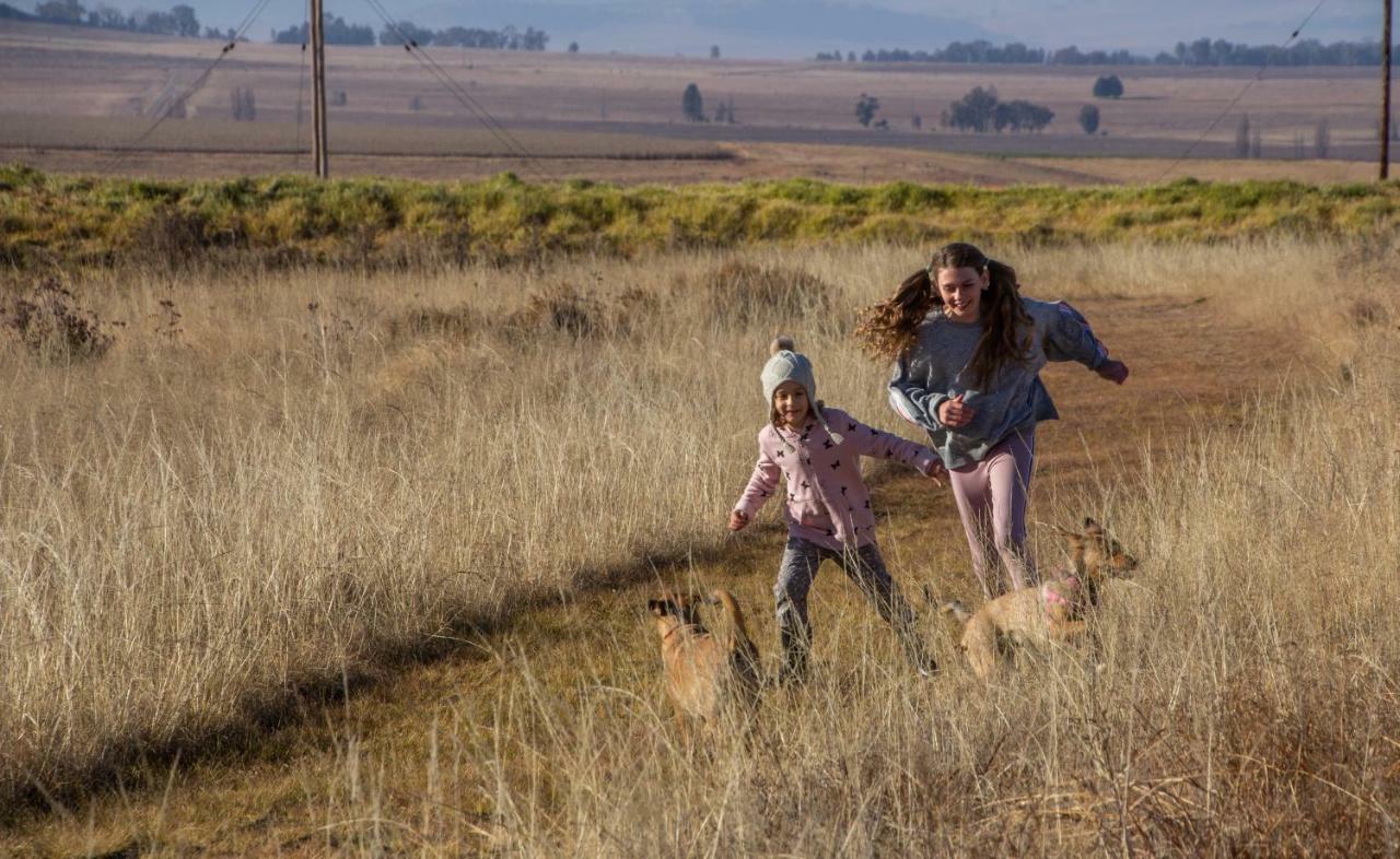 Amohela Ho Spitskop Country Retreat & Conservancy フィックスバーグ エクステリア 写真
